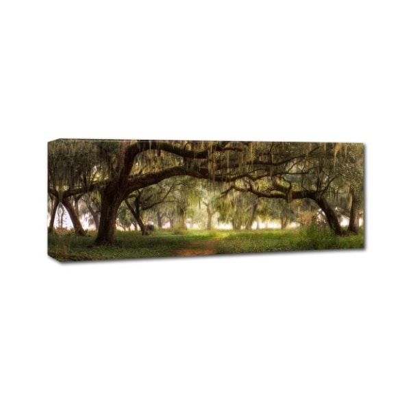 Doug Cavanah 'Southern Charm' Canvas Art,16x47